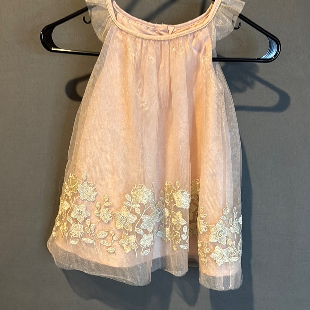 Cathrine Malandrino Pink Sheer Floral Embroidered Dress 24 month